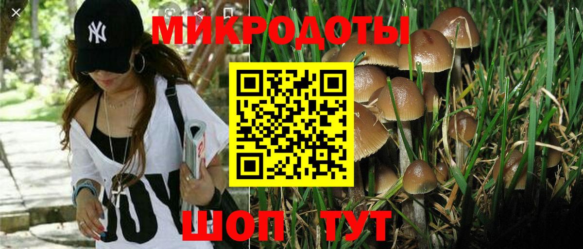 Псилоцибиновые грибы мицелий  Вход с VPN  Гудермес 